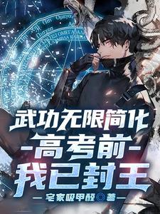 武功无限简化,高考前我已封王 武功无限简化,高考前我已封王