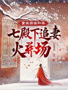重生后去和亲,七殿下追妻火葬场 重生后去和亲,七殿下追妻火葬场